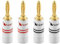 Nakamichi 24K vergoldeter Bananenstecker 12 AWG - 18 AWG Gauge Größe 4mm für Lautsprecher Verstärker Hi-Fi AV Receiver Stereo Heimkino Audiokabel Stecker schraubbar 4 Stück (2-Paare)