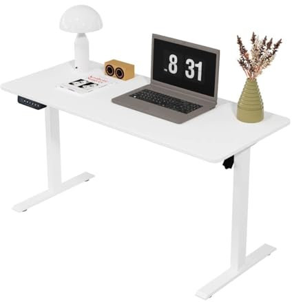 Panana Höhenverstellbarer Schreibtisch 100x60 cm, Elektrisch Verstellbarer Computertisch, Steh-Sitztisch Stehpult Stehschreibtisch (Weiß, 100 x 60 cm)