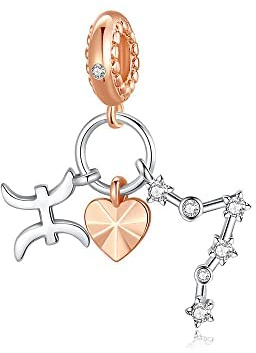 NINGAN Ciondolo Segno Zodiacale Originale Charm Argento Sterling 925 Compatibile con Braccialettie Collane Pesci(02/19-03/20)