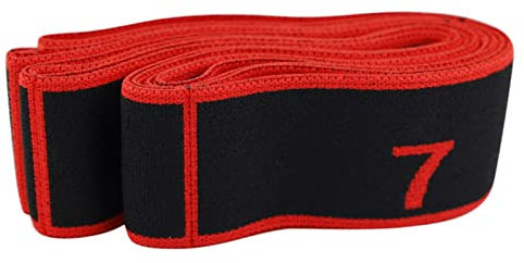 LAMXD Bande Elastique Musculation, Bande Élastique Fitness 8 Niveaux de Forces Bande de Boucle d'exercice