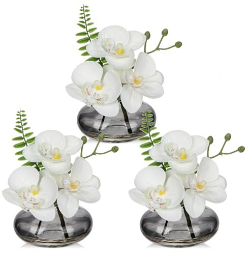 Briful Set of 3 Artificial Orchids in Dimgray Glass Vase, White Orchids Fake Flowers in Faux Water Artificial Flowers for Decoration Fake Plants for Living Room Bathroom Office Décor