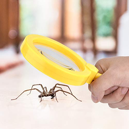 Phefop Loupe pour Enfants, Loupe éducative en Plastique avec Support, Grossissement 3X pour l'observation des Insectes, Outil d'apprentissage Scientifique pour Les Enfants