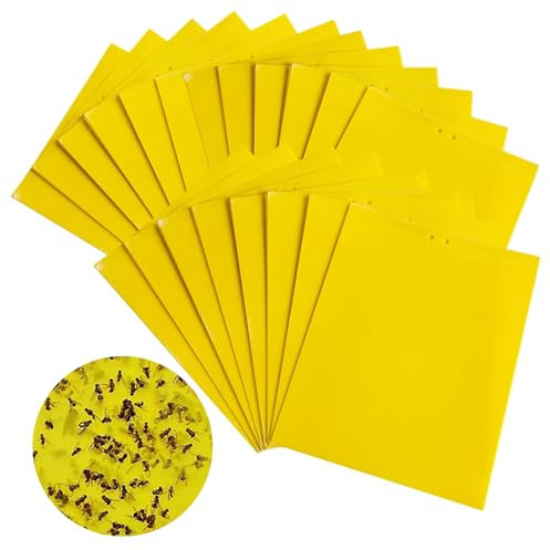 20 pièces pièges à Insecte, pièges adhésifs Double Face Jaunes, moucherons fongiques, moustiques, aleurodes, Autocollants à Mouches, Convient pour Les Plantes et Les Fleurs de Jardin(15x20cm)