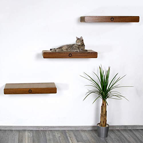 CanadianCat Company | Catwalk aus 3er Kratzbrett-Set mit verdeckter Wandbefestigung Cloud | walnuss | ca. 70 x 30 x 8 cm Kletterwand Katze Catwalk