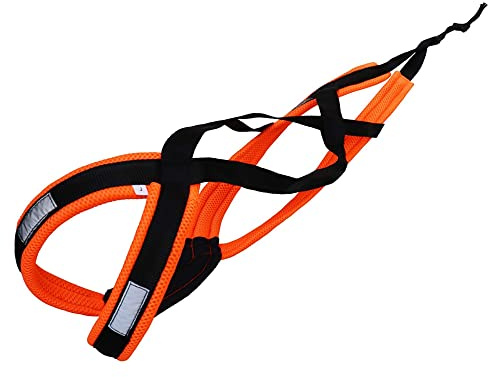 LASALINE Imbracatura per cani da traino X-Back per bikejoring, Canicross, Scooter, Skijoring, Dog-Trekking, Sleddog - nero arancio neon