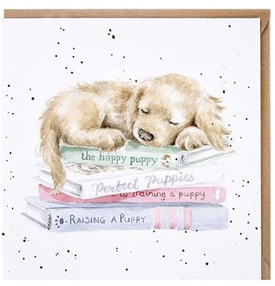 Cute A Pups Life Birthday Card – Sleeping Puppy Dog Wrendale Blank Greeting Card
