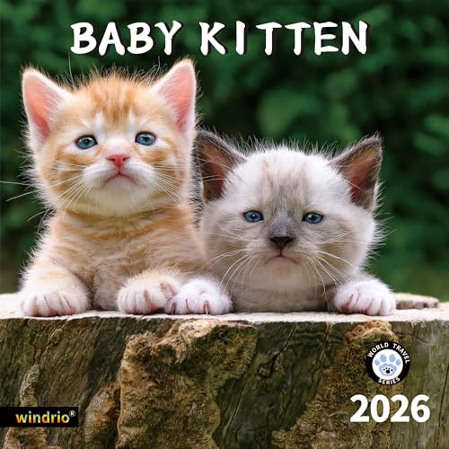 2026 Wall Calendar,Calendar 2026, November 2025 - December 2026, Wall Calendar Cat Kitten, 12 X 24 Opened,Full Page Months Thick & Sturdy Paper for Calendar Organizing & Planning