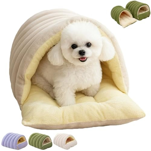 Lit pour chat monstre douillet, lit caverne pour chat et petit chien avec coussin amovible, nid apaisant, lits douillets lavables en machine pour chats d'intérieur et petits chiens. ,Medium,Beige