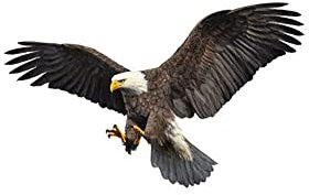 Flygande örn, 1 st bildekal 3D bil gummidekal 3D örn djur bil gummiklistermärke bil emblem klistermärken bil kroppsdekoration klistermärke