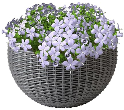 Jardinera Montada En La Pared - Plantadores de Pared Neprotan Para Flores - Decoración de maceta para Orquídeas Pensamientos Begonias Pothos Petunias