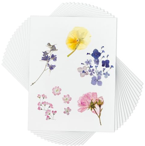 OLYCRAFT 50 confezione Carta Assorbente per Pressa per Fiori 20x15cm Carta Assorbente Bianca per Pressa per Erbario Carta per Progetti Artistici Conservazione Floreale Fai Da Te Spessore 0.4mm