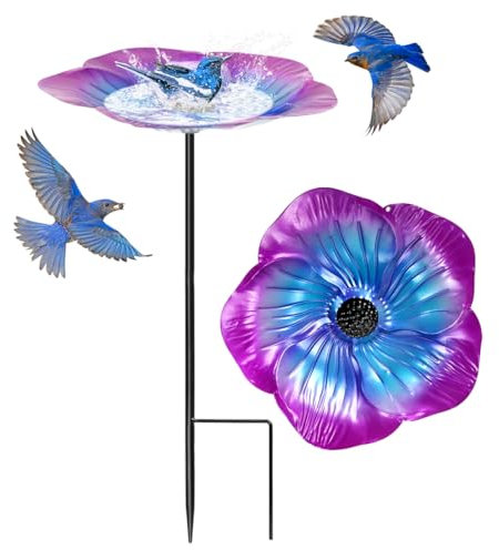 Bains pour Oiseaux Sauvages Violet