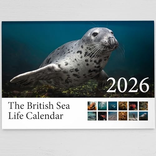 2026 British Sea Life Wall Calendar Featuring Stunning Photography of Sea Life Throughout Britain - Includes All UK & World Holidays & Dates Included | Perfect Christmas Calendar for Home & Office