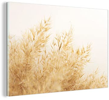 MuchoWow Glasbild Glasfoto Wandbild Bilder Deko 150x100 cm Pampasgras - Sonne - Gras