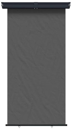 vidaXL Toldo Lateral para balcón 160 x 250 cm