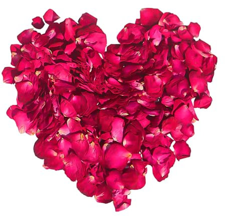 140g De Pétales De Rose Rouge, Pétales Séchés Naturels, Décoration De Vrais Pétales, Décoration D'ambiance De Fête De Mariage, Fleurs D'accessoires De Photographie