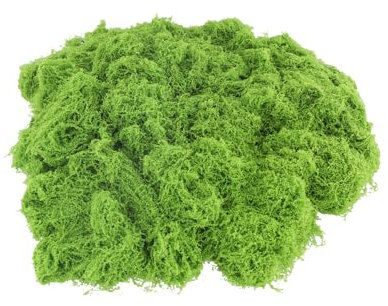 150g Moos Zum Basteln, mo für Moosbilder, Moosbild, Kunstmoos, Kunst Moos, Moos zum Basteln, Moos Deko, Künstliches Moos, Moss, Moos Konserviert, Deko Moos, Kunstmoos zum Basteln, mooswand Easter Deko