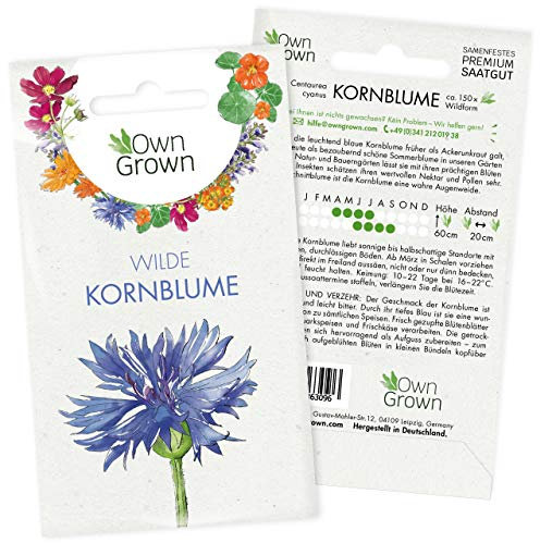 Blaue Kornblumen Samen: Premium Blaue Kornblume Samen für ca. 150x blühende Wilde Kornblumen Pflanze – Schöne Garten Blumen Saatgut, Blumenwiese Samen – Flower Seeds – Wildblumen Saatgut von OwnGrown