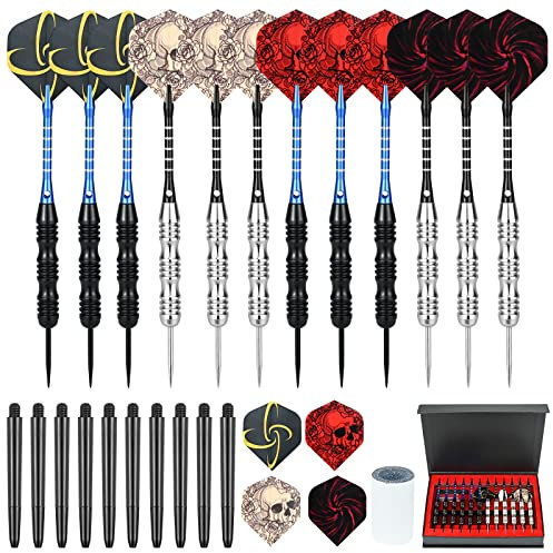 RAINPOP 12 Stück Dartpfeile mit Metallspitze, 24 Gramm Profi Steeldarts, Wolfram-Steeltip-Dart-Set, Profi Dartpfeile Steel Set mit 24 Flights und 12 Aluminium Schaft, Exquisite Geschenkverpackung