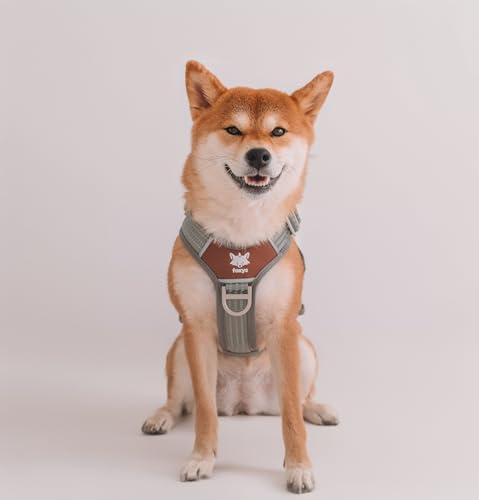 Arnés Ergonómico Anti tirones para Perro Foxys® CountryFox™ Pro, Resistente, Acolchado, Ligero y Ajustable (Gris, Talla L)