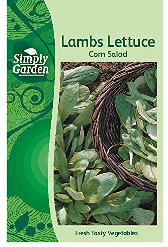 Simply Garden Lambs Lettuce Corn Salad Fresh Vegetable Leafy Seeds Grow Your Own Garden
