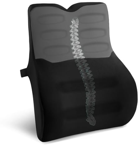 Quirlig Cojin Lumbar Coche, Cojin Lumbar Silla Oficina con Esponja Memoria, Respaldo Lumbar Ergonómico, Almohada Lumbar para Asientos de Coche, Silla de Oficina, Negro