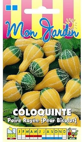 Sachet de graines de Coloquinte poire rayée - 3 g - légume décoratif - LES GRAINES BOCQUET