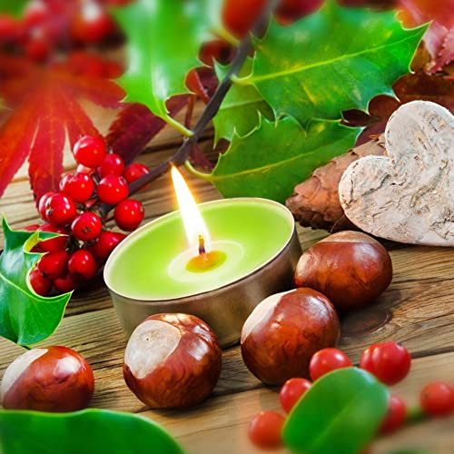 ANTEVIA Matériaux - Lot de 15 Bougies Chauffe Plat parfumées au Sapin, Plus DE 10 MODÈLES, Couleurs : Vert et Gris (Virtua Sapin)