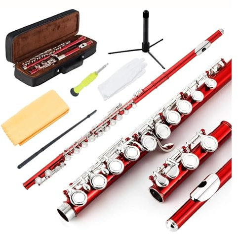 tvärflöjt instrument Closed Hole Flute 16 nycklar för nybörjare(Red)