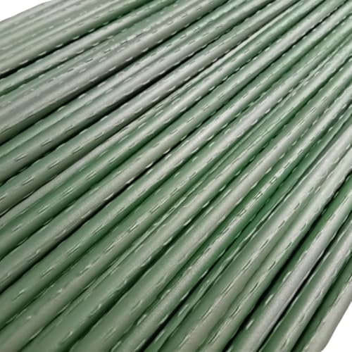 Set di 10 Supporti per Piante – Tutori in Acciaio Plastificato di Varie Misure – Pali per Pomodori, Bastoni e Paletti per Orto e Giardinaggio – Accessori per Vasi e Fioraio (180 CM)