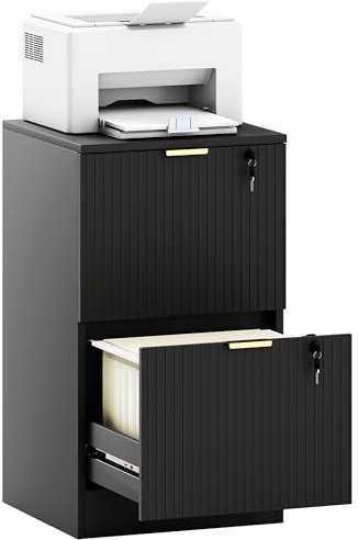 HOMCOM 2 Drawer Filing Cabinet Fluted Vertical File Cabinet Lock Black | Adjustable Hanging Rails, for A4 and Letter Size Files, Printer Stand with Storage
