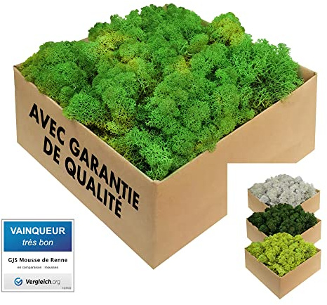 GJS Musgo islandés Natural conservado – auténtico Musgo Decorativo en 200g/500g/1kg/4kg para Cuadros de Musgo, Manualidades, decoración y terrarios (Verde Hoja, 1kg)