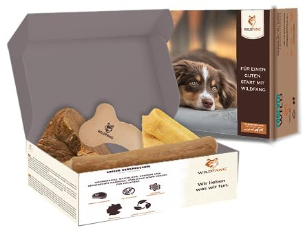 Wildfang® Welcome Little Love Hundtugg Set – Naturliga hundleksaker & valpleksaker med olivträ, ljungrot, tuggben hund i läder & hårdost provpack