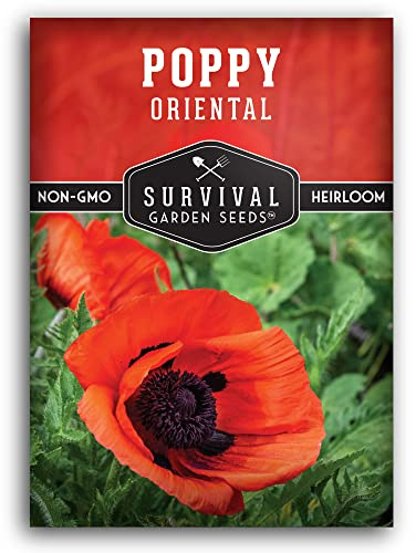 Oriental Poppy Flower Seeds for Planting - Red Perennial Poppies (Papaver orientale) - Hardy Outdoor Blooms & Cut Flowers - Heirloom Non GMO - Survival Garden Seeds (1 Pack)