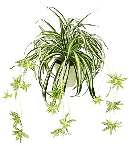Konstgjord grönlilja i kruka konstgjord växt klorophytum grön växt inomhusväxt silkesblomma silkesblomma vattenlilja spindellilja hängande växt hängande oäkta bröllop dekoration