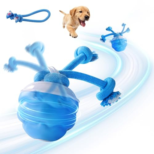 Mapneng Automatic Moving Interactive Dog Toy Ball For Small Medium Dogs | Barking Smart Active Rolling Funny Puppy Toys for Anxiety Relief & Bonding (Blue)