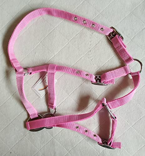 keine Angabe Fohlenhalfter, 3 Fach verstellbar pink