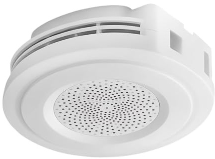 Cassaforte Per Denaro, Contenitore Per Orologi Nascosto, Nascondiglio Segreto Per Oggetti Di Valore, Per Affittuari Ufficio Casa Dormitorio Camera Soggiorno Studio Cucina Appartamento Gioielli Chiavi