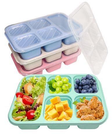 4 Pack Snack Containers, Reusable Meal Prep Lunch Containers for Kids Adults, Bento Snack Boxes with 5 Compartments, Divided Food Storage Containers for School Work Travel, Microwave Dishwasher Safe