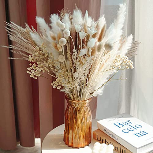 69pcs Various Dried Pampas Grass Décor, 17in Pampas Grass for Flower Arrangements, Boho Wedding Party Home Decor