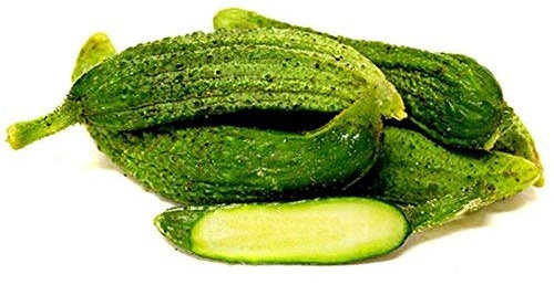 seedsown Germination Les graines: 25 - Graines: Décapage Paris Concombre-Rare Difficile à trouver graines Français Gherkin -Free Livraison