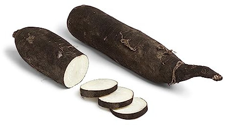 Graines Radis noir gros long d'hiver de Paris - sachet d’environ 500 graines - Raphanus/sativus/Brassicaceae - Graines de style