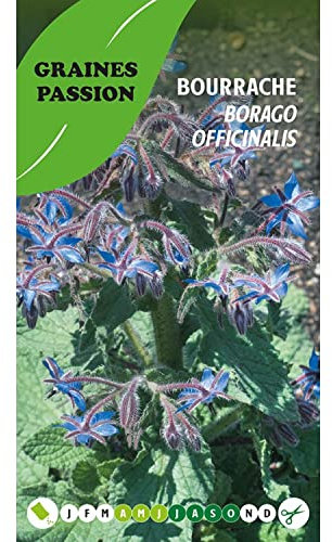 Graines Passion sachet de graines Bourrache officinale