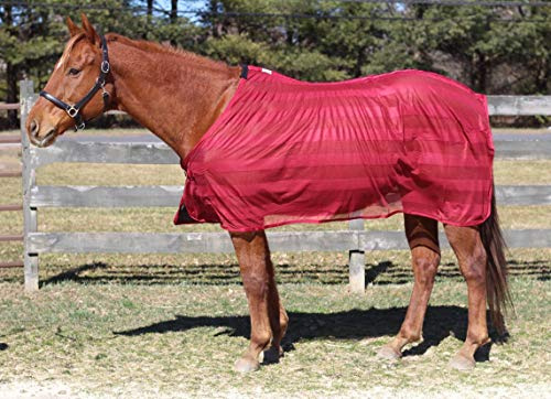 TuffRider Scrim Sheet - Burgundy - 72