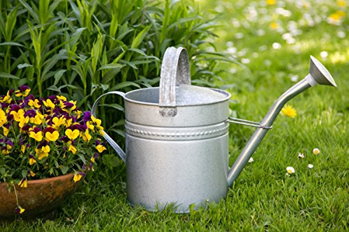 KUHEIGA Gießkanne 6 Liter Antik - Zink Metall Zinkkanne Verzinkt Kanne Giesskanne