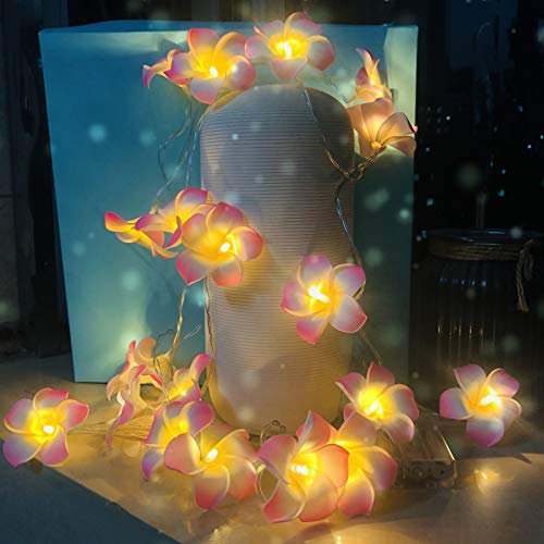 Riaxuebiy Plumeria Artificiale Luci Stringa Frangipani Ghirlanda Artificiali Fiori LED Fata Catene Luminose a Batteria per Spiaggia Festa Compleanno Proposta Matrimonio Arredamento (3m/20led, Rosa)