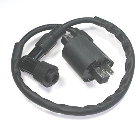 Beehive Filter, bobina d'accensione, per ATV, Moped, GO Kart, quad, moto da cross, TaoTao cinesi, 110 cc, 125 cc, 150 cc, 200 cc, 250 cc