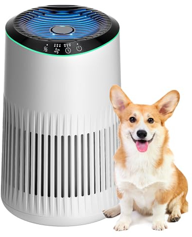 MERONTE Luftreiniger für Schlafzimmer, Zuhause, allergischer Luftreiniger für Schlafzimmer, Büro, Raucherzimmer, HEPA-Filter, Luftreiniger, 1 Pack+3 Modi
