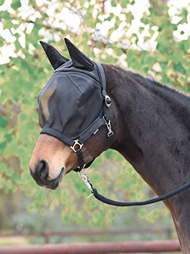 Busse Fast - Mosquitera, Unisex adulto, Pony, negro