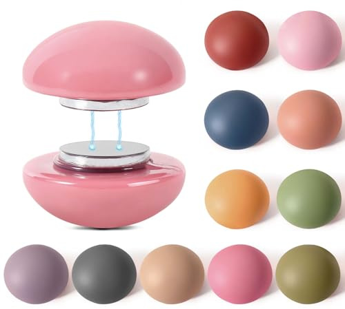 mobumeia Calamite Potenti, 24 Pezzi 12 Colori Colorati Rotondi Magnete Calamite per Frigorifero per Lavagne, Armadietti, Cucina, Ufficio